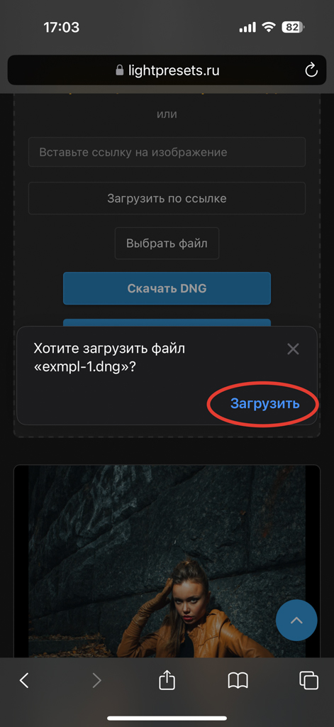Скачивание DNG пресета